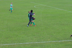 0688ba5b-98ec-4a4c-a70c-93e69bba48ea