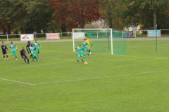 361b532d-1d5a-4841-b6d5-c5a57a69dbd3