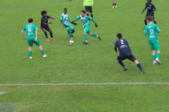 90f95546-ce9b-4ba4-bf94-f991f9cd5203