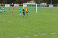 93c6c93a-9568-4cf0-808a-c96406d3d971