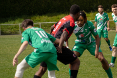 IMG_4851